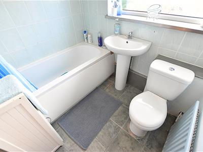 Picture 14